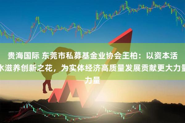 贵海国际 东莞市私募基金业协会王柏：以资本活水滋养创新之花，为实体经济高质量发展贡献更大力量
