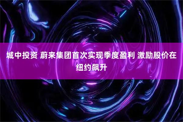 城中投资 蔚来集团首次实现季度盈利 激励股价在纽约飙升
