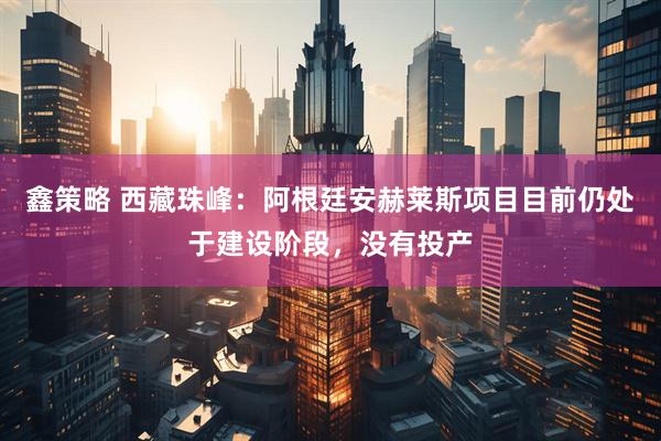 鑫策略 西藏珠峰：阿根廷安赫莱斯项目目前仍处于建设阶段，没有投产