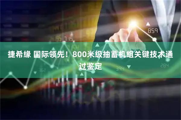 捷希缘 国际领先！800米级抽蓄机组关键技术通过鉴定