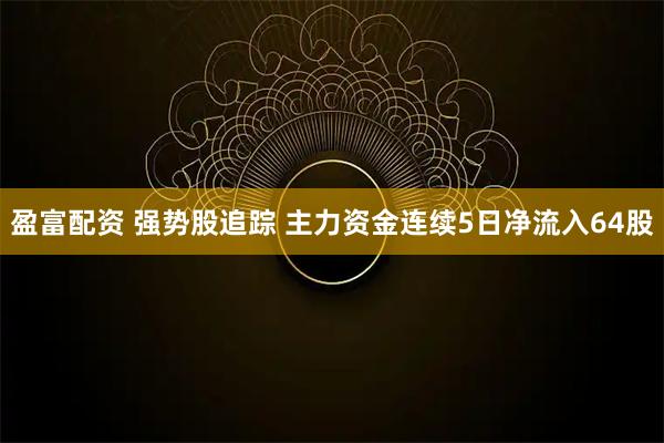 盈富配资 强势股追踪 主力资金连续5日净流入64股