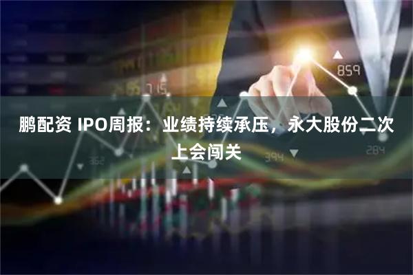 鹏配资 IPO周报：业绩持续承压，永大股份二次上会闯关
