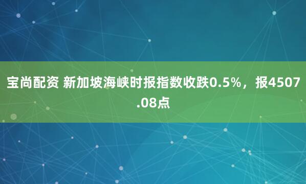宝尚配资 新加坡海峡时报指数收跌0.5%，报4507.08点
