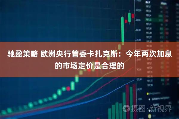 驰盈策略 欧洲央行管委卡扎克斯：今年两次加息的市场定价是合理的