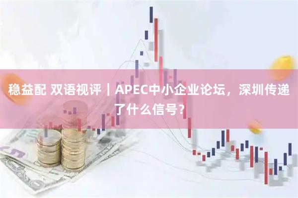 稳益配 双语视评｜APEC中小企业论坛，深圳传递了什么信号？
