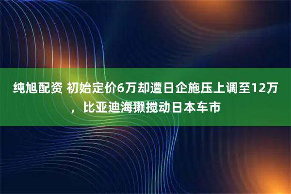 纯旭配资 初始定价6万却遭日企施压上调至12万，比亚迪海獭搅动日本车市
