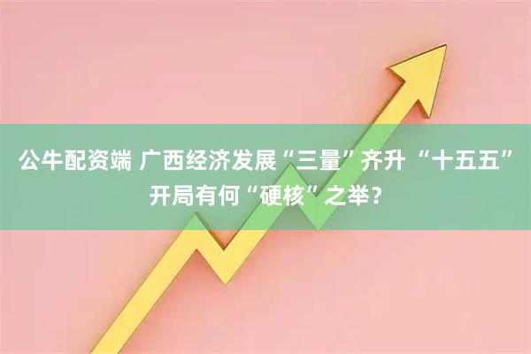 公牛配资端 广西经济发展“三量”齐升 “十五五”开局有何“硬核”之举？
