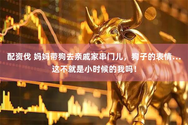 配资伐 妈妈带狗去亲戚家串门儿，狗子的表情…这不就是小时候的我吗！