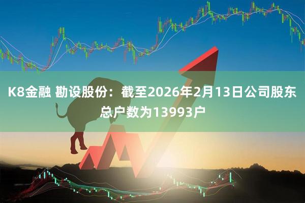 K8金融 勘设股份：截至2026年2月13日公司股东总户数为13993户