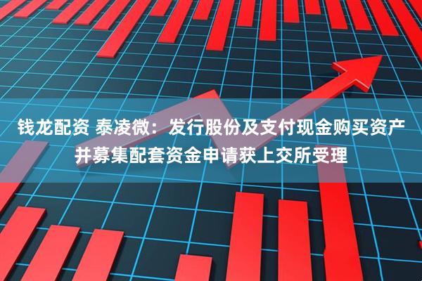 钱龙配资 泰凌微：发行股份及支付现金购买资产并募集配套资金申请获上交所受理