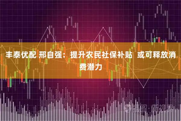 丰泰优配 邢自强：提升农民社保补贴  或可释放消费潜力