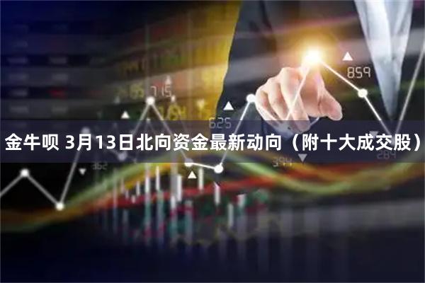 金牛呗 3月13日北向资金最新动向（附十大成交股）