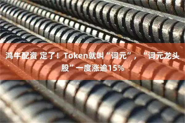 鸿牛配资 定了！Token就叫“词元”，“词元龙头股”一度涨逾15%