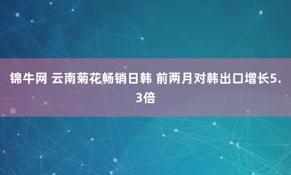锦牛网 云南菊花畅销日韩 前两月对韩出口增长5.3倍