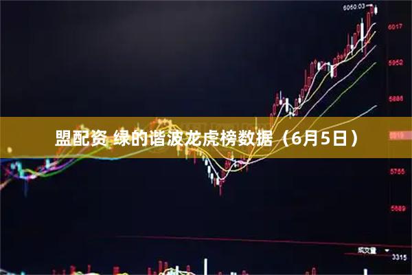 盟配资 绿的谐波龙虎榜数据(6月5日)