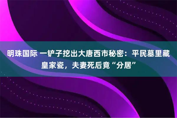 明珠国际 一铲子挖出大唐西市秘密:平民墓里藏皇家瓷,夫妻死后竟“分居”